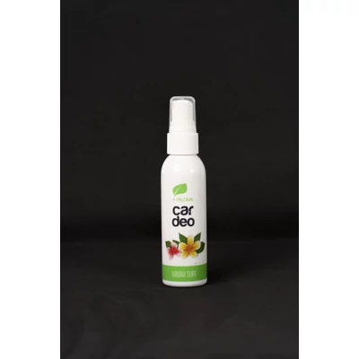 Paloma Car Deo - Hawaii Surf